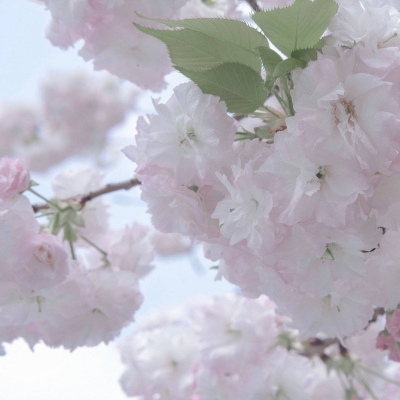 Furry角色动作设计兽圈社群